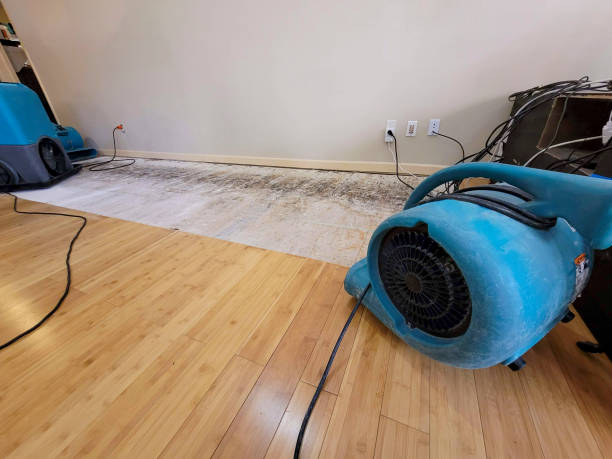 Reliable Basement Flood Cleanup contractor in Nashville, NC by Hirex Water Damage